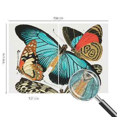 Luxusná tapeta Farebné motýle