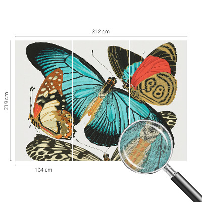 Luxusná tapeta Farebné motýle