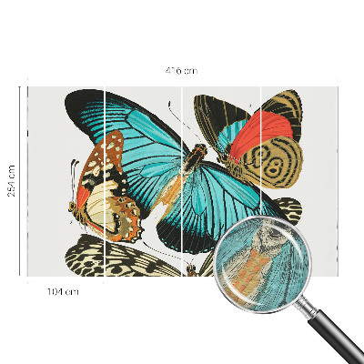 Luxusná tapeta Farebné motýle