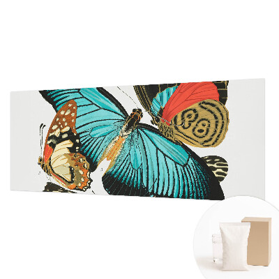 Luxusná tapeta Farebné motýle