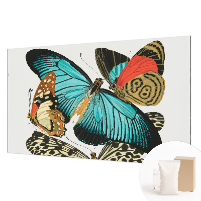 Luxusná tapeta Farebné motýle