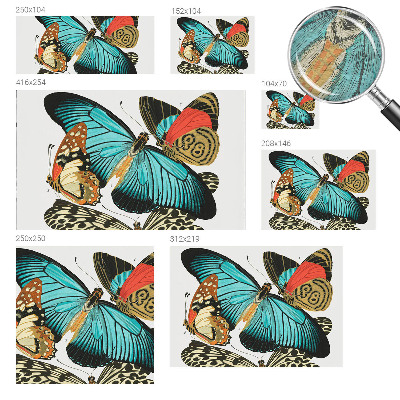 Luxusná tapeta Farebné motýle