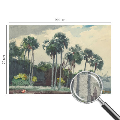 Vliesová fototapeta Exotické palmy