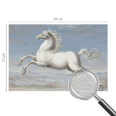 Fototapeta Kone v skoku