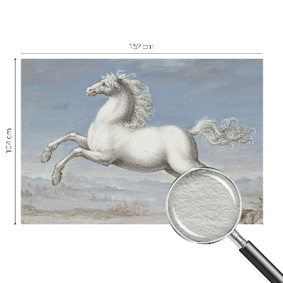 Fototapeta Kone v skoku