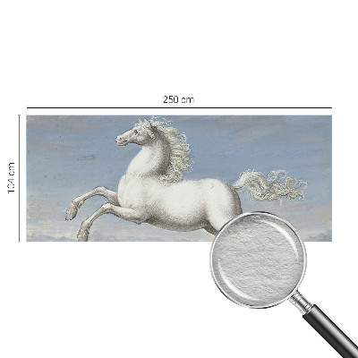 Fototapeta Kone v skoku