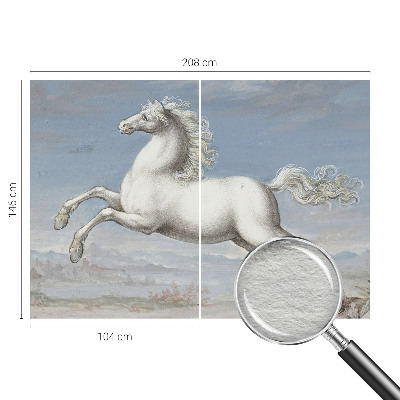 Fototapeta Kone v skoku