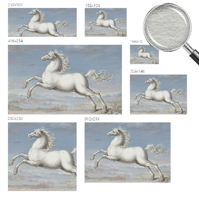 Fototapeta Kone v skoku