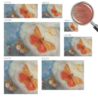 Vliesová tapeta na stenu Farebné motýle