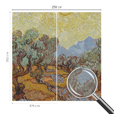 Fototapeta do obývačky Olivovníky