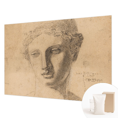 Fotografická tapeta na vliese Ženský portrét