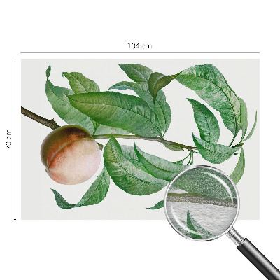 Fototapeta na stenu Zrelá broskyňa