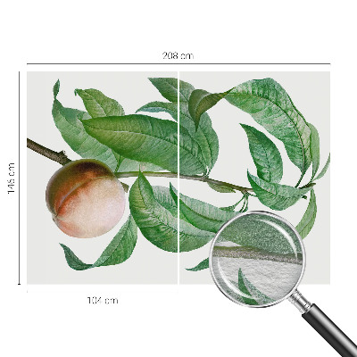 Fototapeta na stenu Zrelá broskyňa