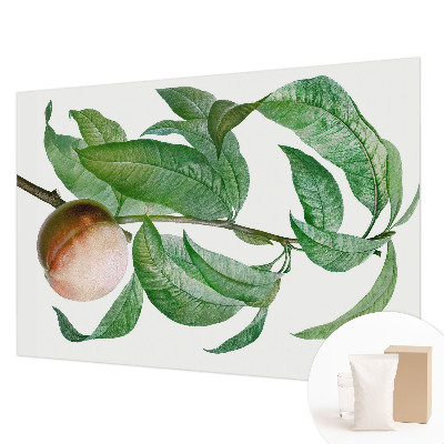 Fototapeta na stenu Zrelá broskyňa