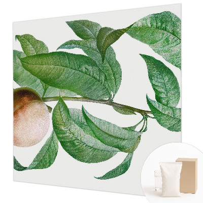 Fototapeta na stenu Zrelá broskyňa