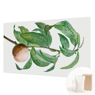 Fototapeta na stenu Zrelá broskyňa