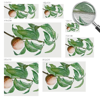 Fototapeta na stenu Zrelá broskyňa