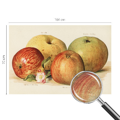 Moderná fototapeta Jabloňové kvety