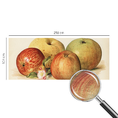 Moderná fototapeta Jabloňové kvety