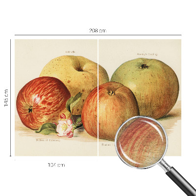 Moderná fototapeta Jabloňové kvety