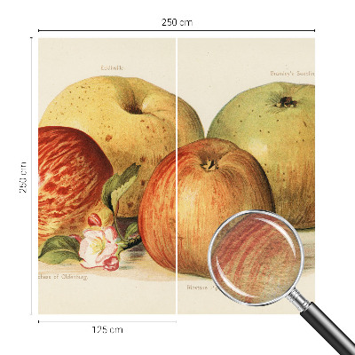 Moderná fototapeta Jabloňové kvety