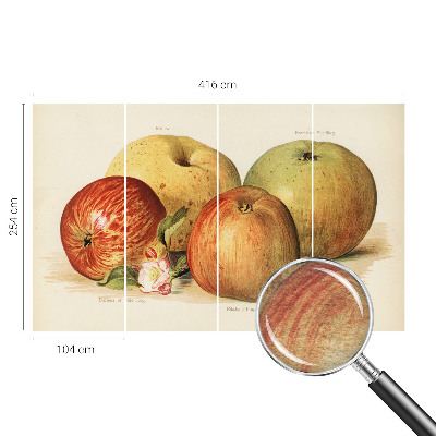 Moderná fototapeta Jabloňové kvety