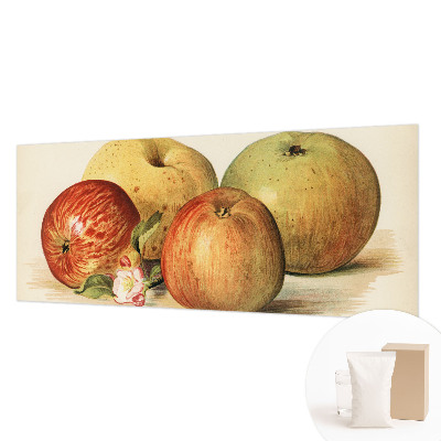 Moderná fototapeta Jabloňové kvety