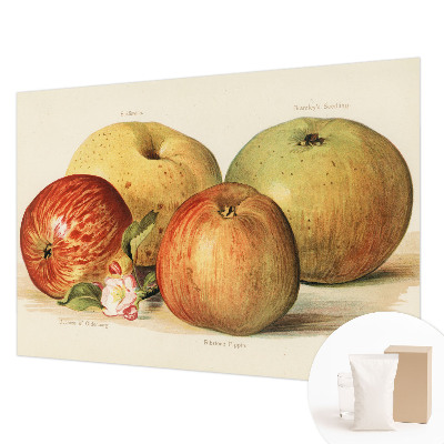 Moderná fototapeta Jabloňové kvety