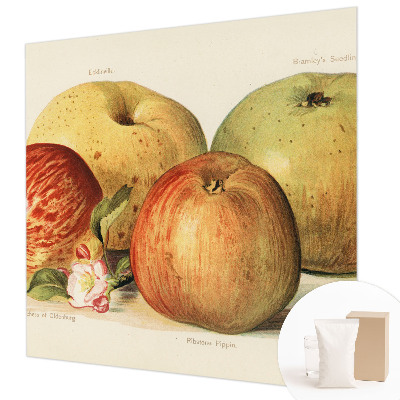 Moderná fototapeta Jabloňové kvety