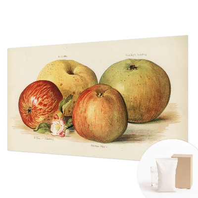 Moderná fototapeta Jabloňové kvety