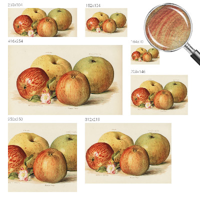 Moderná fototapeta Jabloňové kvety