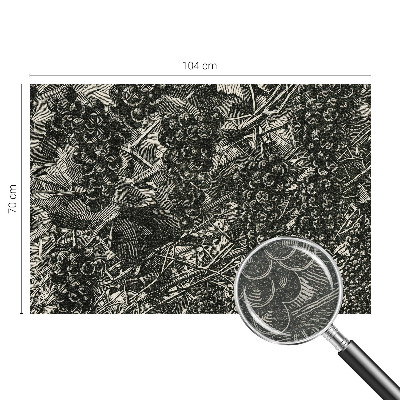 Dekoratívna fototapeta na stenu Hroznová potlač