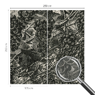 Dekoratívna fototapeta na stenu Hroznová potlač