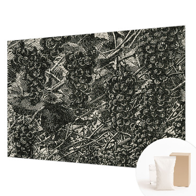 Dekoratívna fototapeta na stenu Hroznová potlač