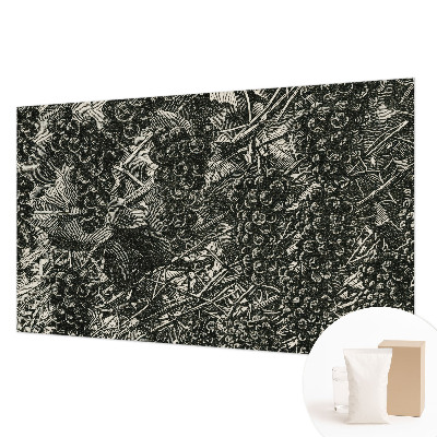 Dekoratívna fototapeta na stenu Hroznová potlač