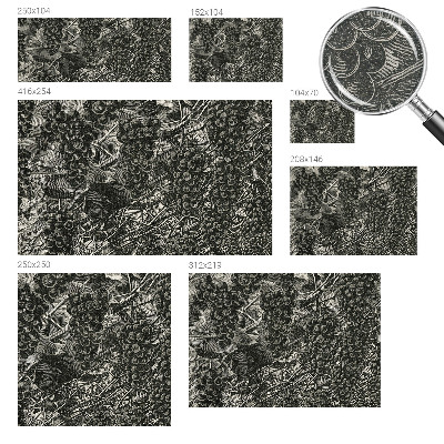 Dekoratívna fototapeta na stenu Hroznová potlač