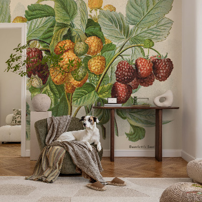 Moderná fototapeta na mieru Klasické maliny