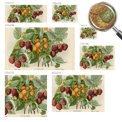 Moderná fototapeta na mieru Klasické maliny