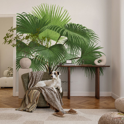 Vliesová tapeta na stenu Exotická palma