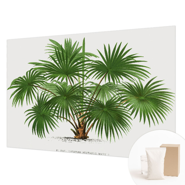 Fototapeta do obývačky Exotický vzor