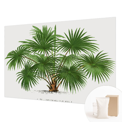 Fototapeta do obývačky Exotický vzor