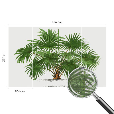 Fototapeta do obývačky Exotický vzor