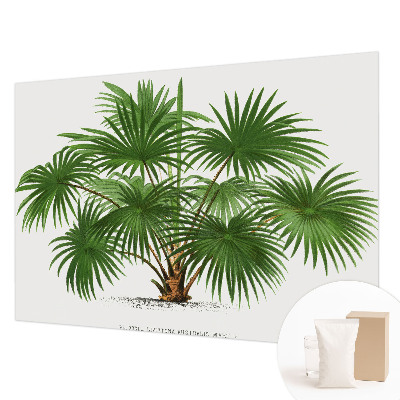 Fototapeta do obývačky Exotický vzor