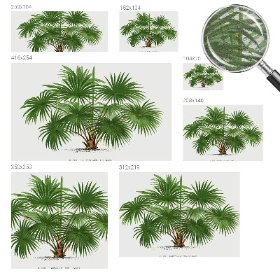 Fototapeta do obývačky Exotický vzor