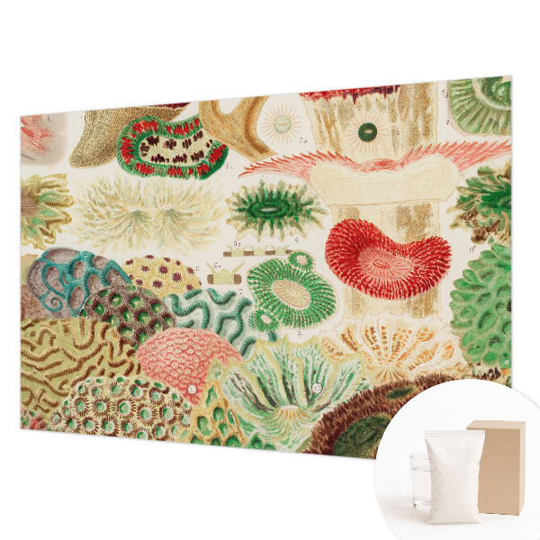 Vliesová fototapeta do spálne Organické tvary