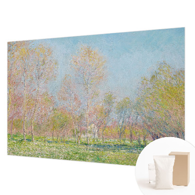 Fotografická tapeta na vliese Jarný park