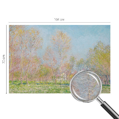 Fotografická tapeta na vliese Jarný park