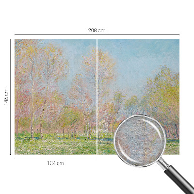 Fotografická tapeta na vliese Jarný park