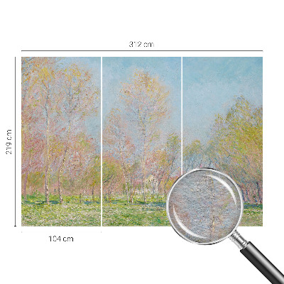 Fotografická tapeta na vliese Jarný park