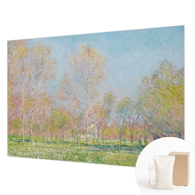 Fotografická tapeta na vliese Jarný park